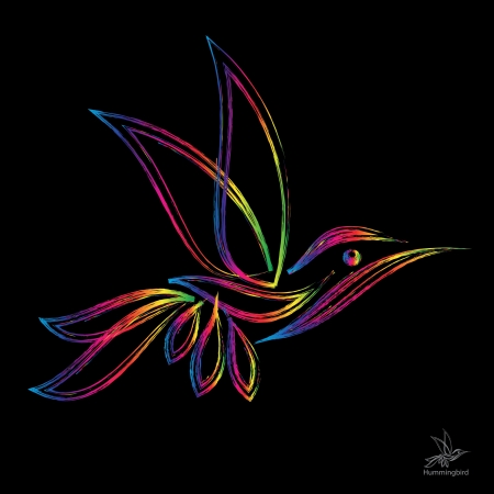 image of an  hummingbird on black background のイラスト素材