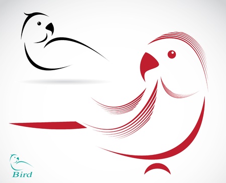 image of an parrot on white background のイラスト素材