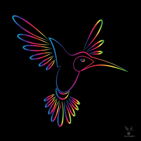 image of an hummingbird on black background のイラスト素材