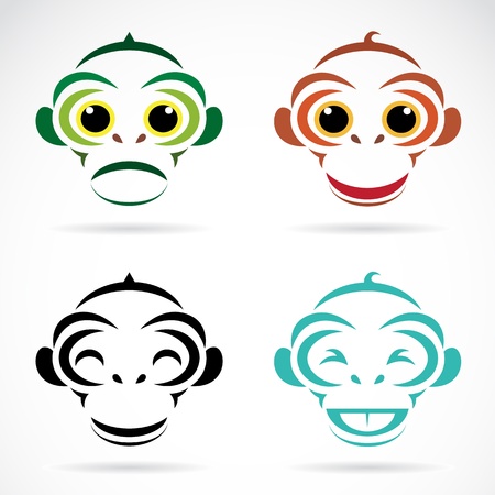 Vector image of an monkey on white background のイラスト素材