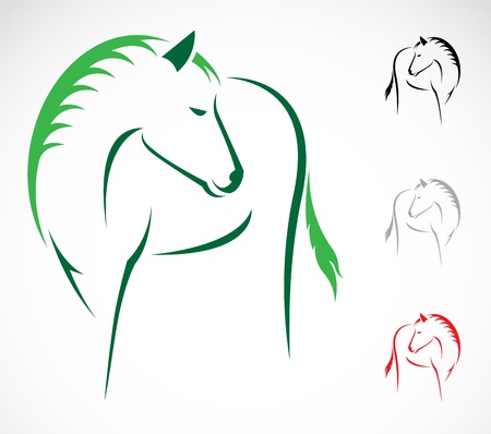 Vector image of an horse on white background のイラスト素材