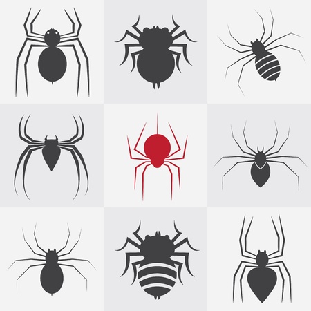 Set of vector spider icons on gray backgroundのイラスト素材