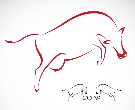Vector image of an cow on white background のイラスト素材