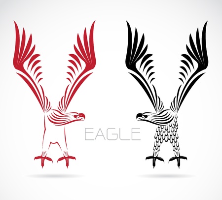Vector image of an eagle on white backgroundのイラスト素材