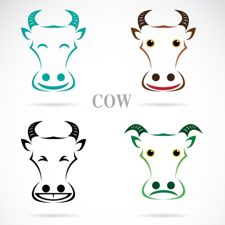 Vector image of an cow face on white backgroundのイラスト素材
