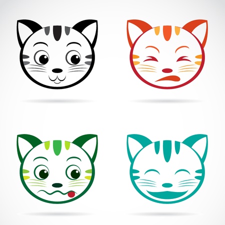 Vector image of an cat face on white background のイラスト素材