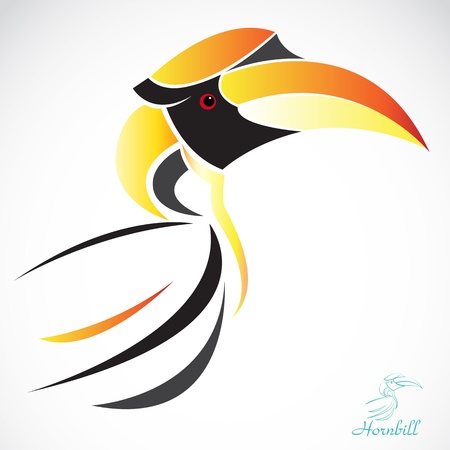 image of an hornbill  on a white backgroundのイラスト素材