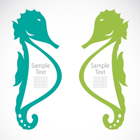 The design of the seahorse on white backgroundのイラスト素材