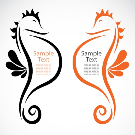 The design of the seahorse on white backgroundのイラスト素材