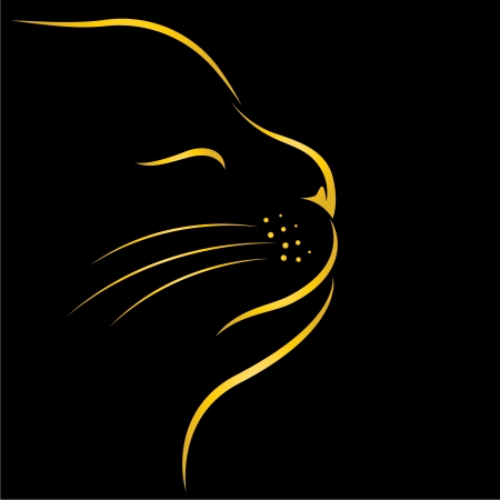 image of an cat on black backgroundのイラスト素材