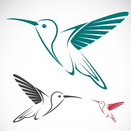 image of an hummingbird のイラスト素材