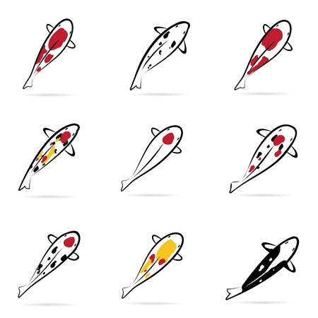 Set of carp koi on white backgroundのイラスト素材
