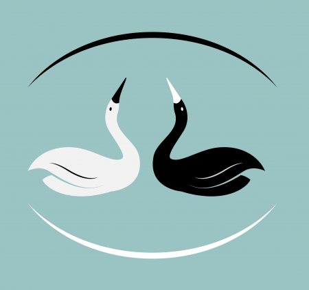 image of swans on a sky blue background.のイラスト素材