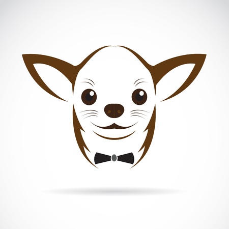 Vector image of an chihuahua dog on white backgroundのイラスト素材