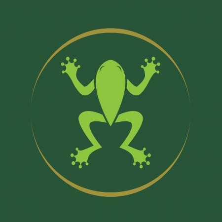 Vector image of a frog . のイラスト素材