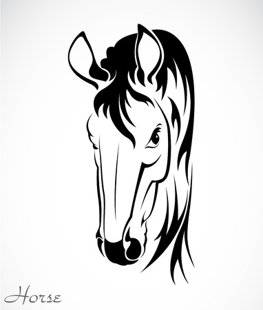 Vector image of an horse on white backgroundのイラスト素材