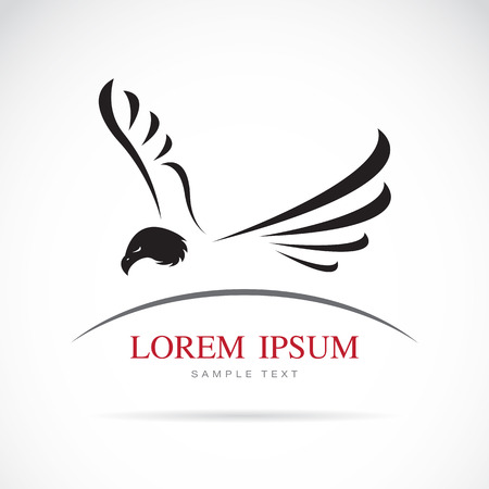 Vector image of an eagle on white backgroundのイラスト素材