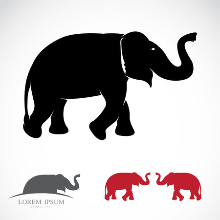 Illustration image of an elephant on a white backgroundのイラスト素材