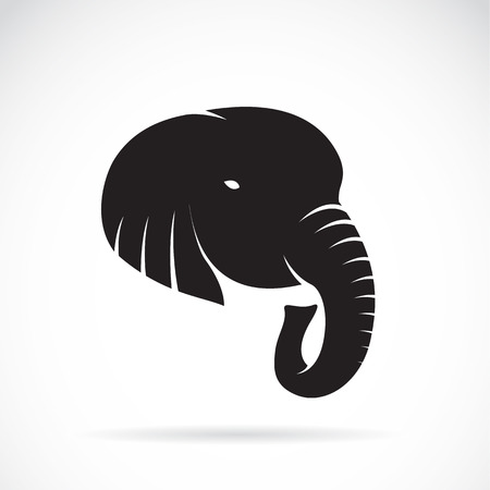 Illustration image of an elephant head on a white backgroundのイラスト素材