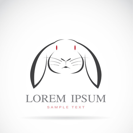 Vector image of an rabbit on white backgroundのイラスト素材