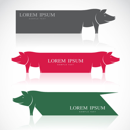 Vector image of an pig banners on white backgroundのイラスト素材