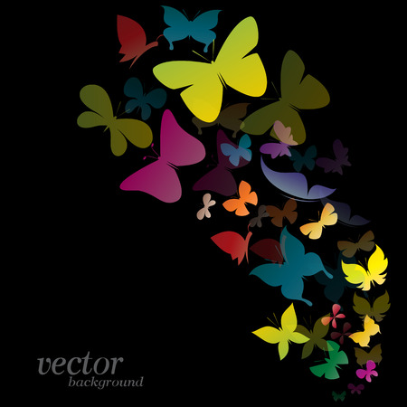Butterfly design on black background -  Vector Illustrationのイラスト素材