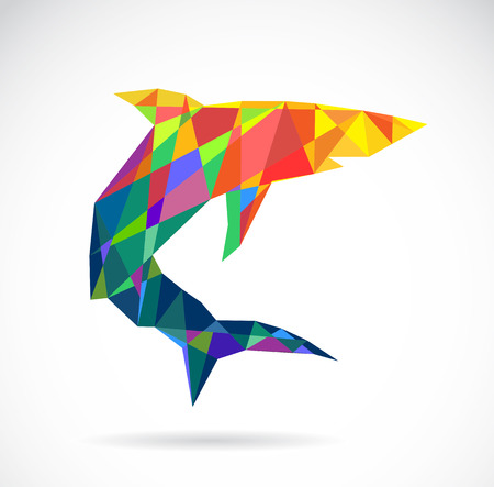 Vector image of an shark design on white backgroundのイラスト素材