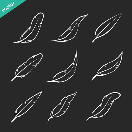 Vector group of feather on black backgroundのイラスト素材