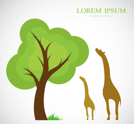 Vector image of trees and giraffes on white backgroundのイラスト素材