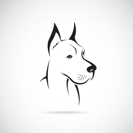 image of an dog (Great Dane) on white backgroundのイラスト素材
