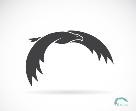 image of an eagle design on white backgroundのイラスト素材