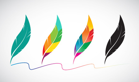 Vector group of feather on white backgroundのイラスト素材