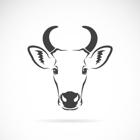 Vector image of an cow head on white backgroundのイラスト素材