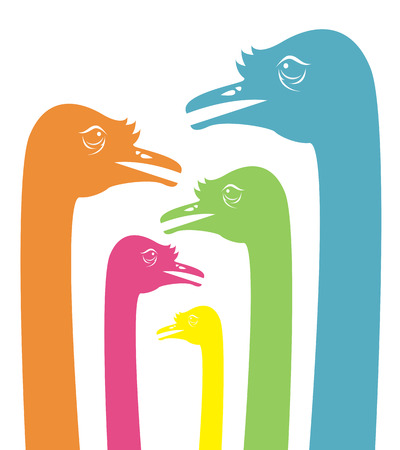 ostrich head on white backgroundのイラスト素材
