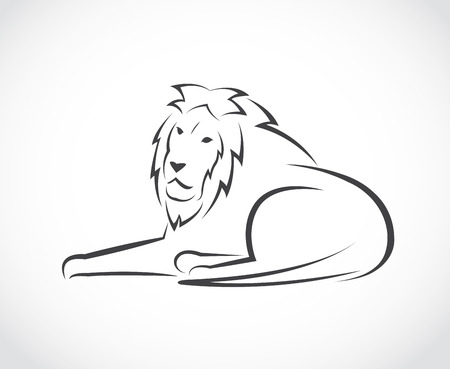 Vector image of an lion on white backgroundのイラスト素材