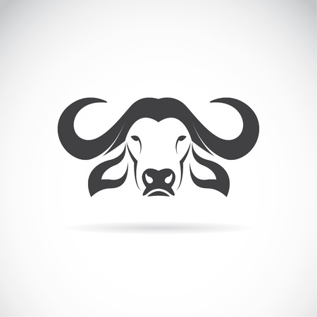 Vector image of an buffalo head on white backgroundのイラスト素材