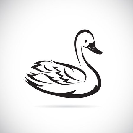 Vector images of swan on a white background.のイラスト素材
