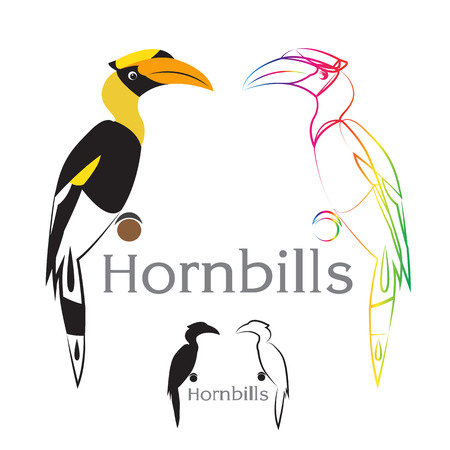 Vector image of an hornbill on a white backgroundのイラスト素材