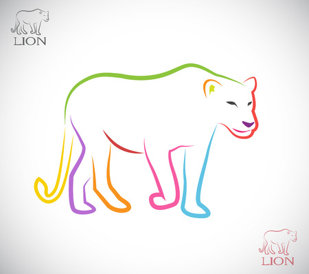 Vector image of an female lion on white backgroundのイラスト素材