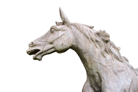 Picture of a horse statue with white backgroundの写真素材