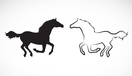 Vector image of an horse on white backgroundのイラスト素材