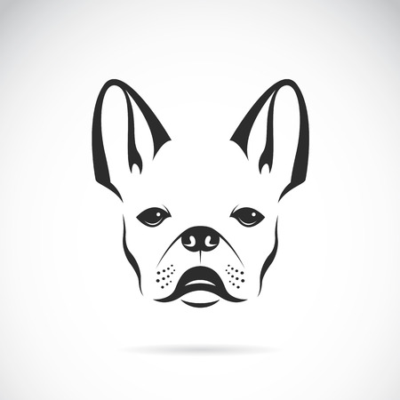 Vector image of an dog (bulldog) on white backgroundのイラスト素材