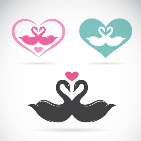 Vector image of two loving swansのイラスト素材