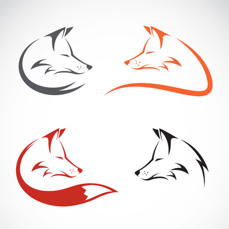 Vector image of an fox design on white backgroundのイラスト素材