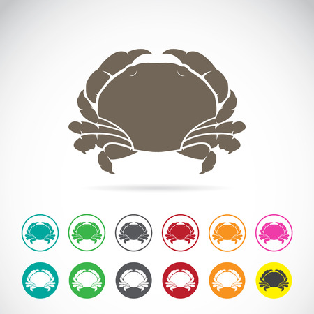 Vector image of an crab on white backgroundのイラスト素材