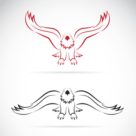 Vector image of an eagle on white backgroundのイラスト素材