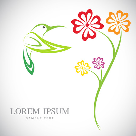 Vector design of hummingbird and flowers on white backgroundのイラスト素材