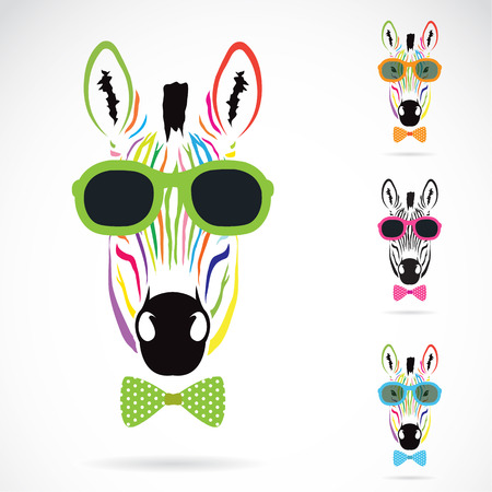Vector image of a zebra wear glasses on white background.のイラスト素材