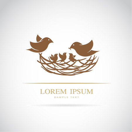 Vector image of an birds family in love on white background.のイラスト素材