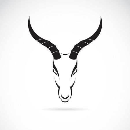 Vector image of an deer head (impala) on white background.のイラスト素材
